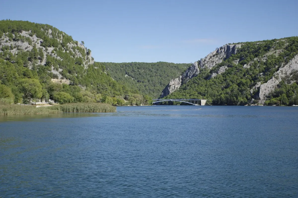 Wide green river channel of the lower Krka with a bridge in the distance, on a Krka waterfalls tour from Skradin