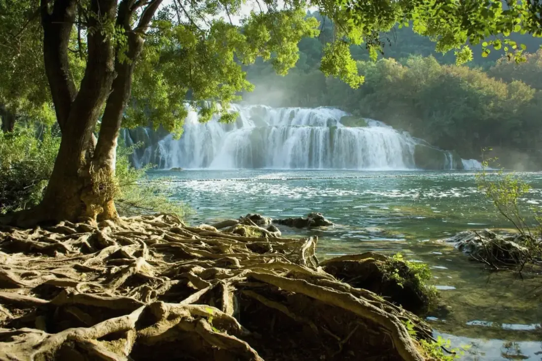 Skradinski Buk waterfall cascading behind tree roots on the bank of the Krka river in Krka National Park
